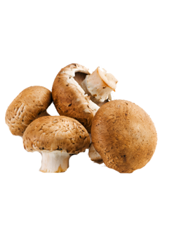 catering services in coimbatore